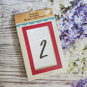 Modern Baby Monthly Birthday Blanket + Felt Frame